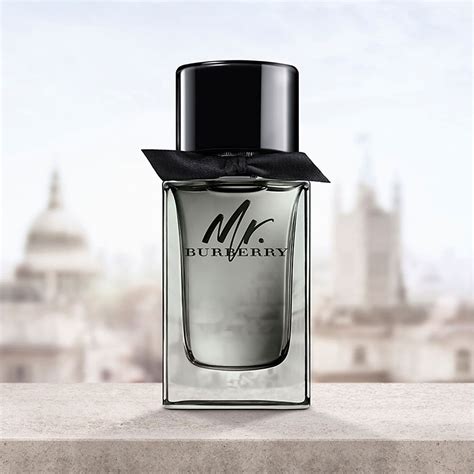 nước hoa mr burberry edt leflair|Nước Hoa Mr. Burberry EDT Chính Hãng Giá Tốt .